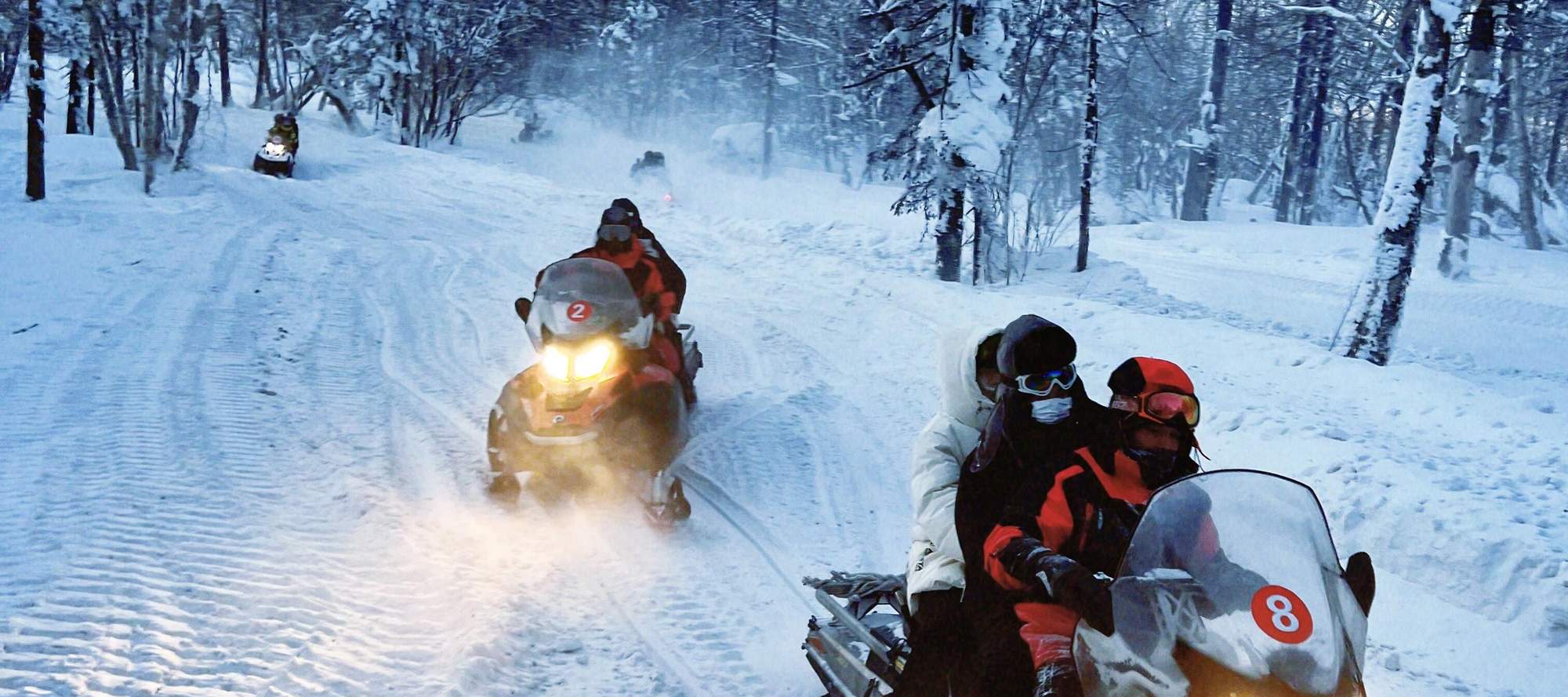 2-Day Snow Town Tour in Harbin, Northeast China (Fairytale Snow Town + Yaxue Highway + Horse-Drawn Sleigh + Snowmobile + Ice and Snow Gallery + Alpine Animal Park + Photo Opportunity in